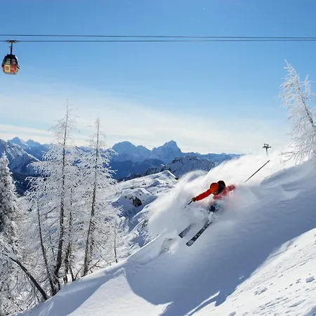 Umfahrer アパート Tröpolach