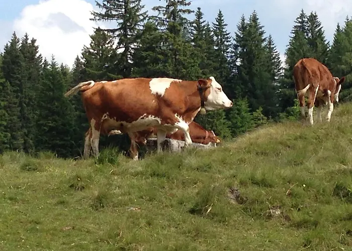 アパート Umfahrer