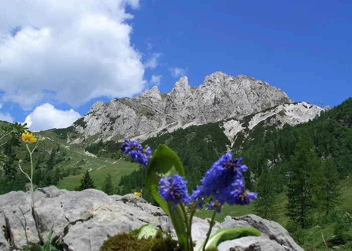 Umfahrer アパート *