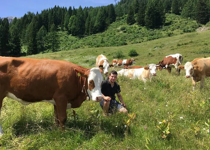 Umfahrer アパート *